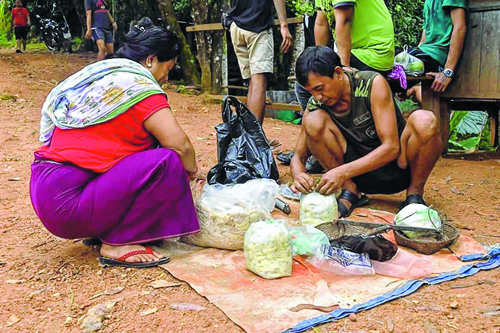 Kwatha_1 H x W Kwatha_1 H x W