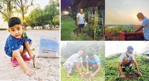 Lakhs of trees planted on Lakhs of trees planted on