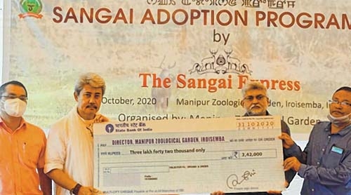 Number of Sangai under ca Number of Sangai under ca