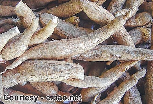 CM discusses bio-fuel pro CM discusses bio-fuel pro