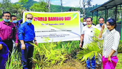 ddssf_1 H x W: ddssf_1 H x W: