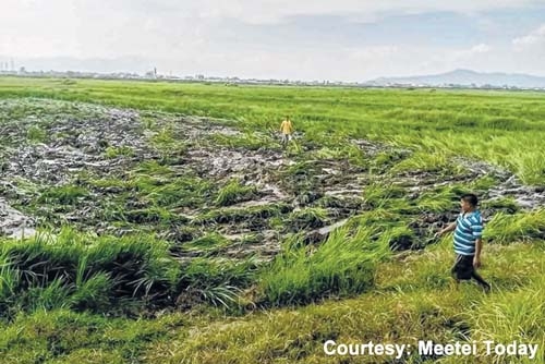 Crops destruction near ai Crops destruction near ai