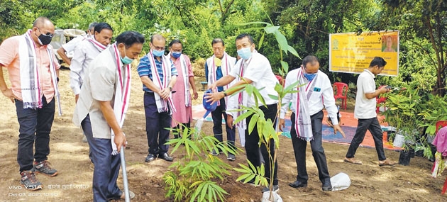 RK Ranjan dedicates Bambo