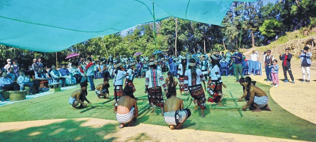 6th Amur Falcon Festival 