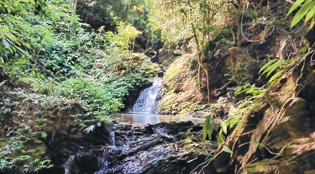 Yangoupokpi sanctuary und Yangoupokpi sanctuary und