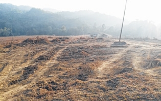 Bunning, Zeilad and Jiri- Bunning, Zeilad and Jiri-