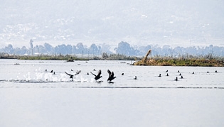 Ithai Barrage posing big Ithai Barrage posing big