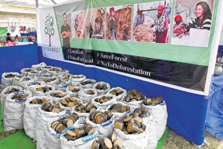 Synergy exhibiting bioma Synergy exhibiting bioma