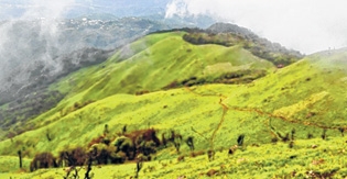 National park tag on Shir National park tag on Shir