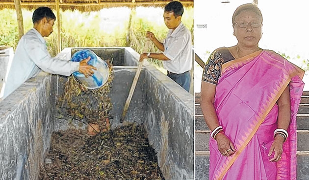 Organic farming touted as Organic farming touted as