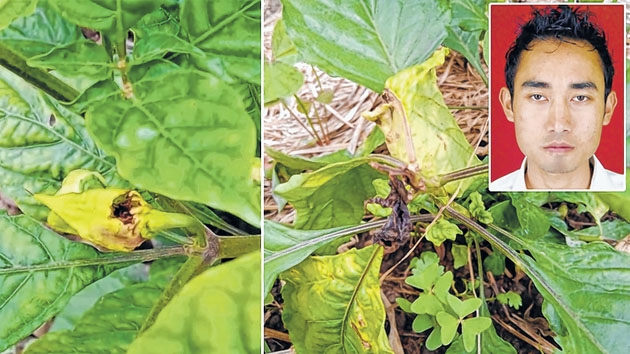 Handy tips given on U-Mor