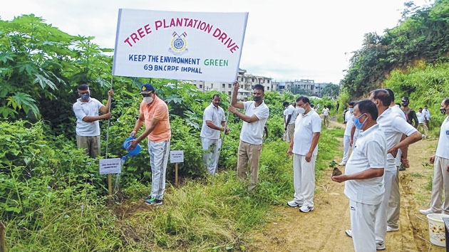Mass plantation drive hel Mass plantation drive hel