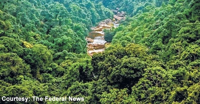 5 NE States have highest pc of forest cover in India
