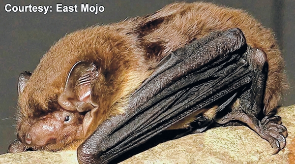 front photo front photo