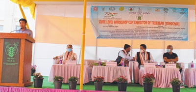 Economics of Yonghcak deliberated at length Economics of Yonghcak deliberated at length