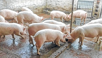 front photo front photo