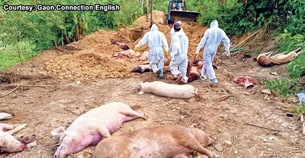 front photo front photo