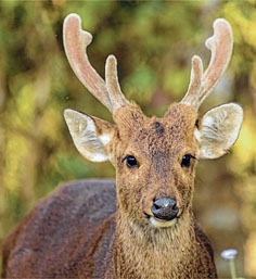 front photo front photo