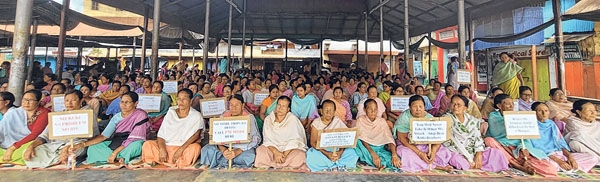 front photo front photo