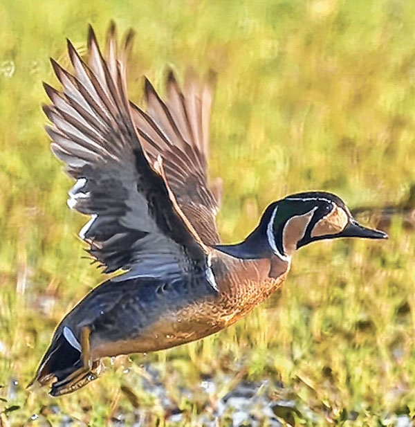 front photo front photo