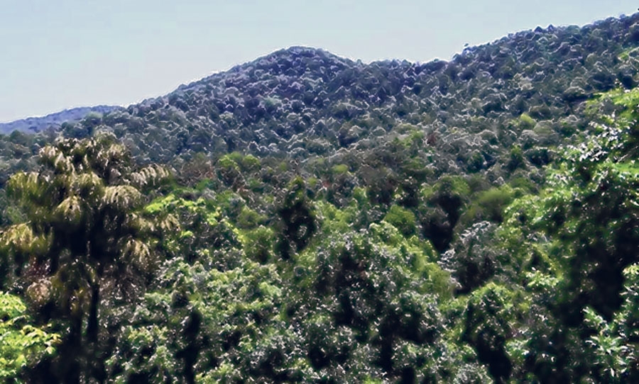 front photo front photo