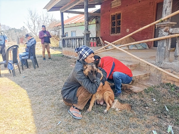 Anti-Rabies vaccination drive organised - The Sangai Express - Largest ...