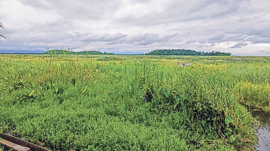 front photo front photo