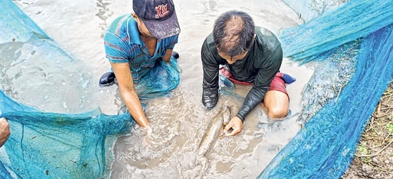 front photo front photo