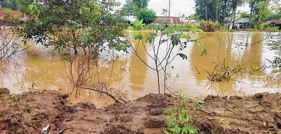 front photo front photo