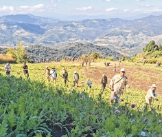 front photo front photo