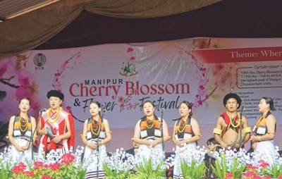 Cherry Blossom Fest Cherry Blossom Fest