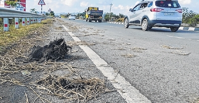 front photo front photo