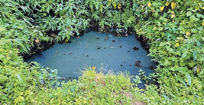 front photo front photo