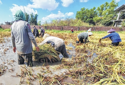 front photo front photo