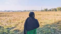 Devastating floods leave farmers apprehensive of paddy cultivation Devastating floods leave farmers apprehensive of paddy cultivation