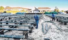 Orange Fest Orange Fest