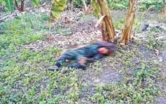 ZUF cadre killed in marathon gunfight with NSCN (IM) men