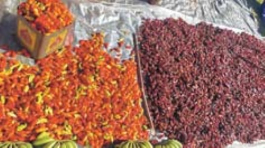 Sivathei Fest stresses need to improve road connectivity