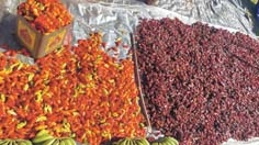 District Level Chatric Sivathei (U-Morok) Festival District Level Chatric Sivathei (U-Morok) Festival