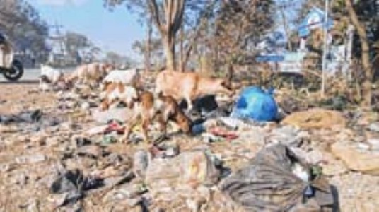 Porompat DC Road : Waste disposal site
