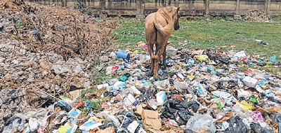 front photo front photo