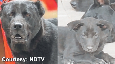 front photo front photo