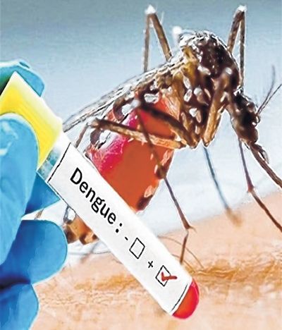 front photo front photo