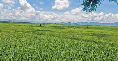 front photo front photo