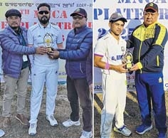 Superplate Cricket Superplate Cricket