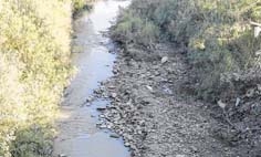 Imphal River Imphal River