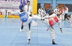 Taekwondo