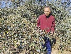 Waikhom Ibochouba (56)