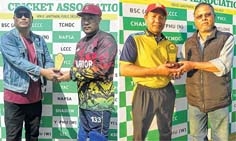 Veteran Cricket Veteran Cricket