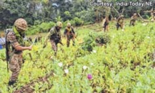 Farmland being floated as village : Waphong Inthan VA ‘K Songlung : A village with only 2 houses’